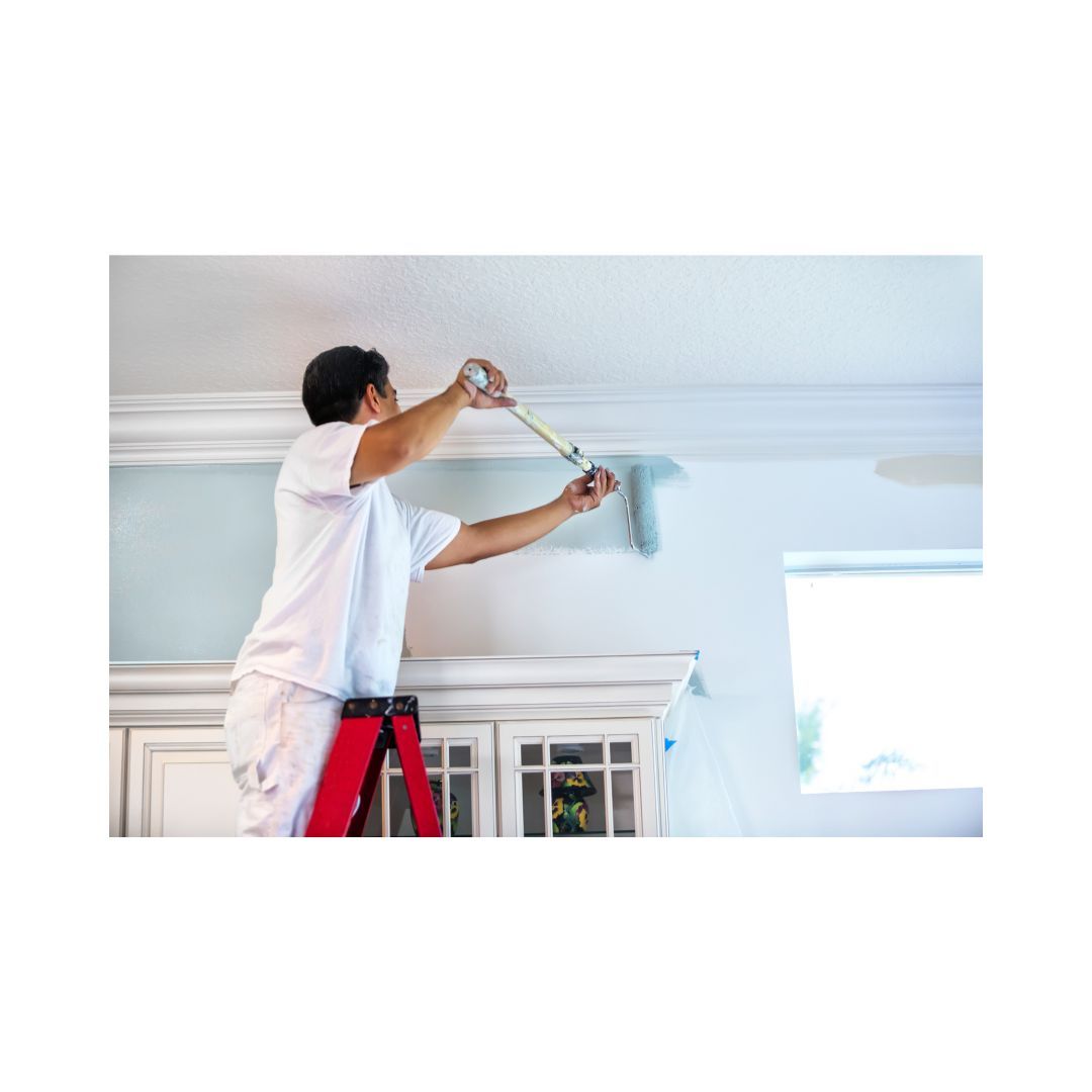 Professional House Painters Services