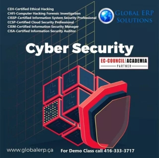 Cyber Security Training with Demo Class call 416 623 9493