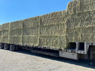 Timothy Hay for sale, large bales only