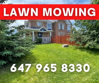 Lawn Mowing/Grass Cutting, CALL NOW!