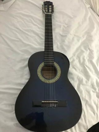 Denver guitar