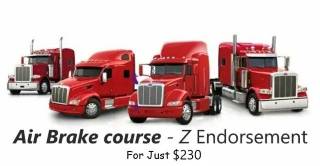 Air Brake course Z Endorsement For $225. Call Singh G 3653231313
